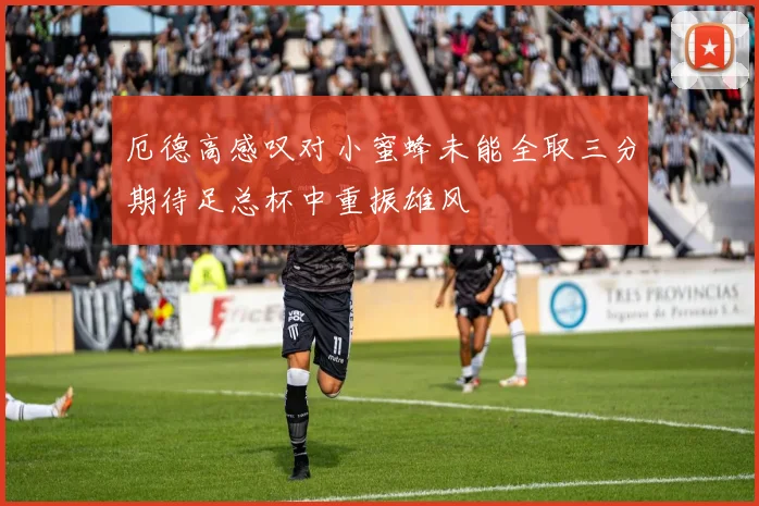厄德高感叹对小蜜蜂未能全取三分期待足总杯中重振雄风
