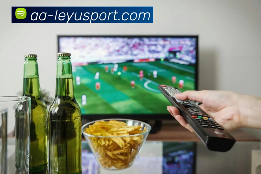 多媒体互动体验